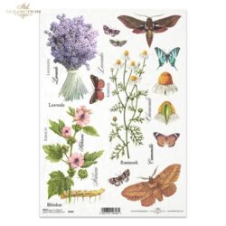 levendula-pillango-virag-termeszet-rizspapir-r0404-hobbykreativ