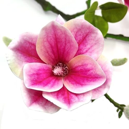elethu-magnolia-muvirag-ag-nagy-viragokkal-rozsaszin-2-hobbykreativ