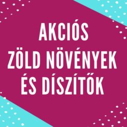 Akciós zöld növények és díszítők